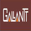 GALLANT-STEEL